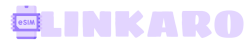 LINKARO SIM – Link Around The WORLD